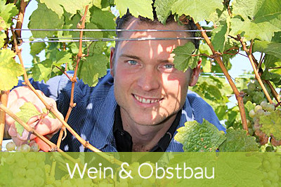 Das Gästehaus zum Wolffenturm in Lehrensteinsfeld - Wein & Obstbau